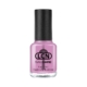 Top Coat flash dry & shine, 8 ml